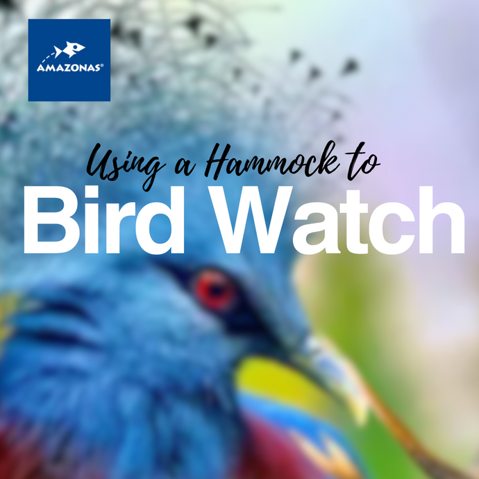 Hammock and Birdwatching: Finding Feathered Friends in Your Backyard